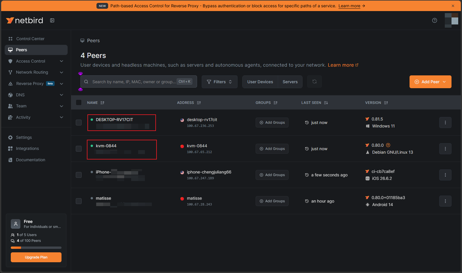 Both the access device and NanoKVM Go online in the NetBird desktop client