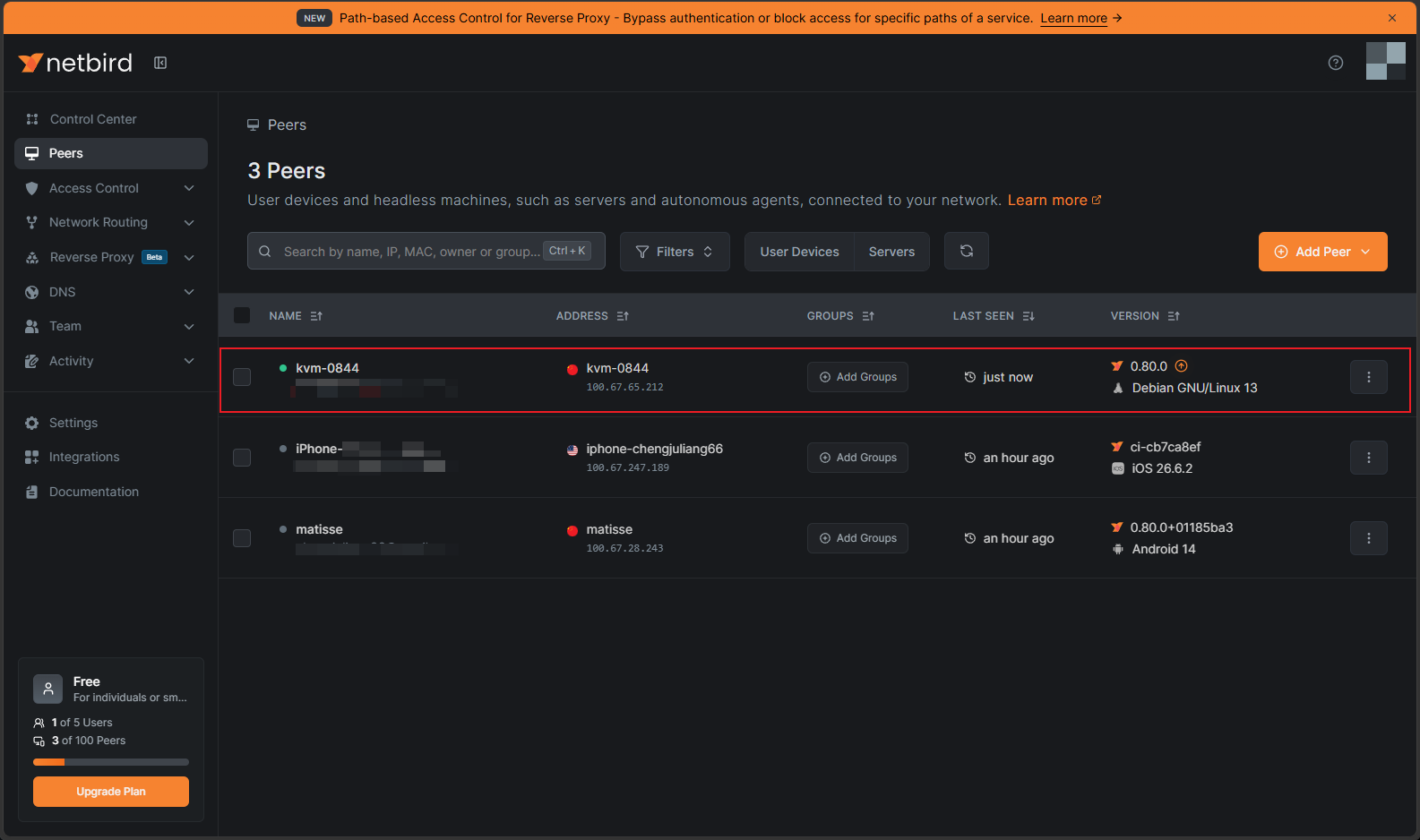 NanoKVM Go online on the Peers page in the NetBird console
