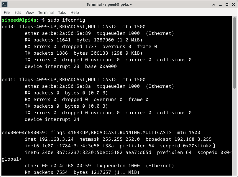 check_usb_lan_ip