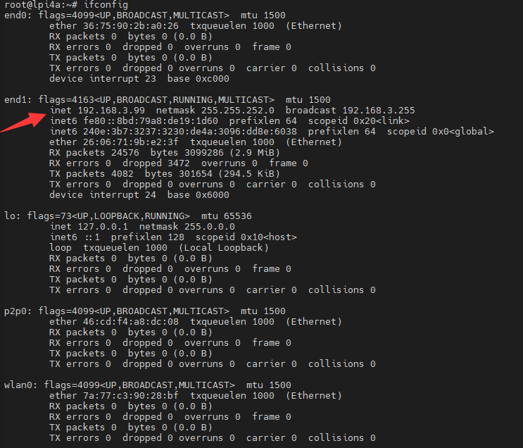usage_debian_ifconfig_result_list