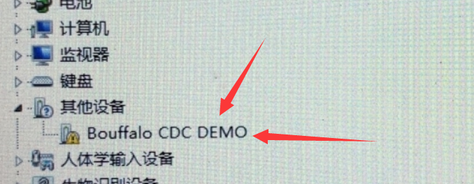 burn_bl702_cdc_error