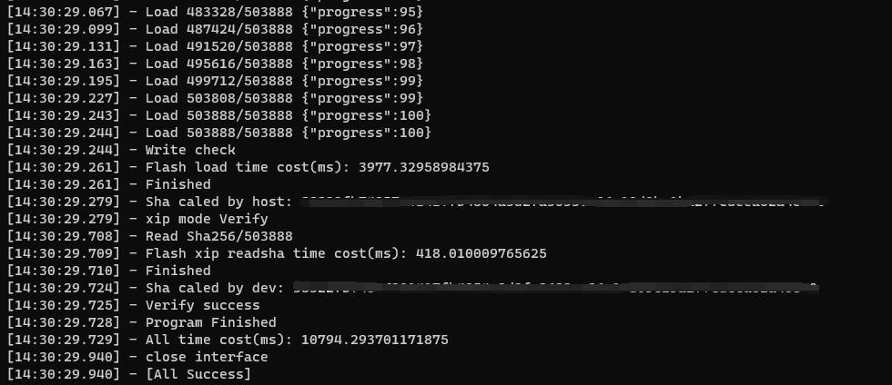 command_burn_flash