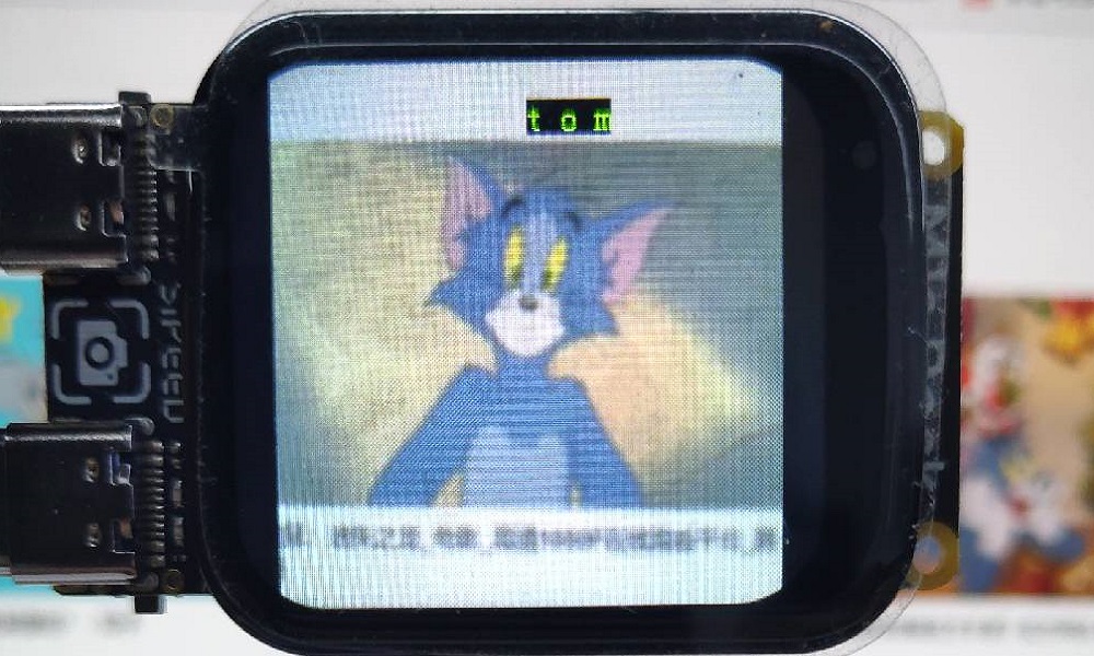 tom_jerry_model_tom